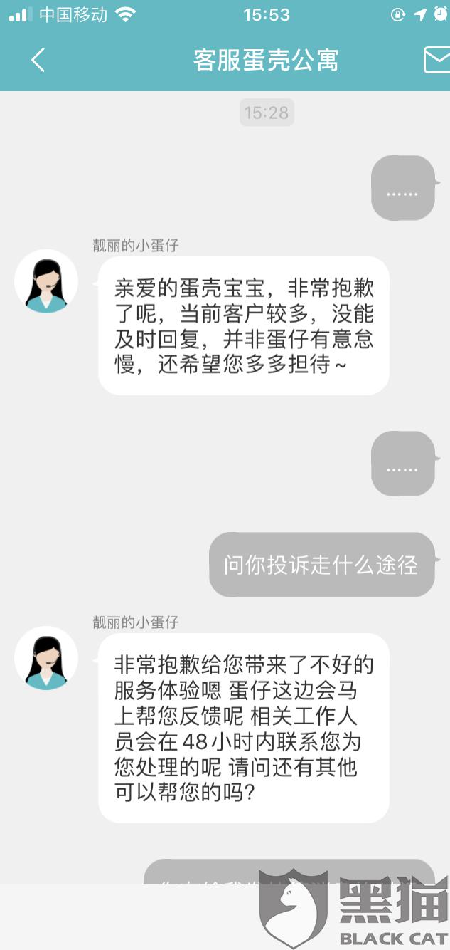 蛋殼公寓最新動(dòng)態(tài)，家的溫馨與友情的綻放時(shí)刻