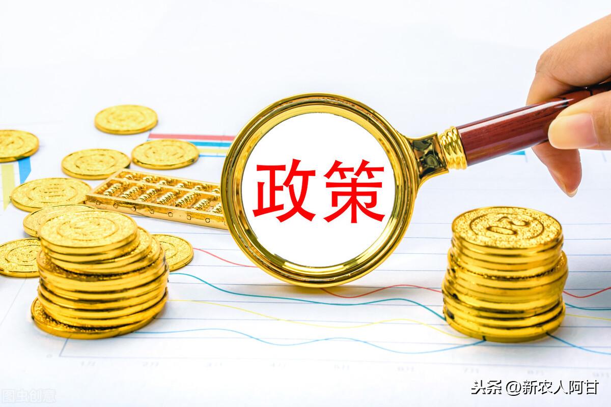 探索小巷獨(dú)特小店，最新創(chuàng)業(yè)用地資訊大揭秘！