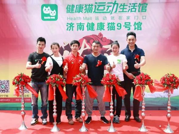 健康貓上市之路揭秘，背景、重大事件與時(shí)代地位探索