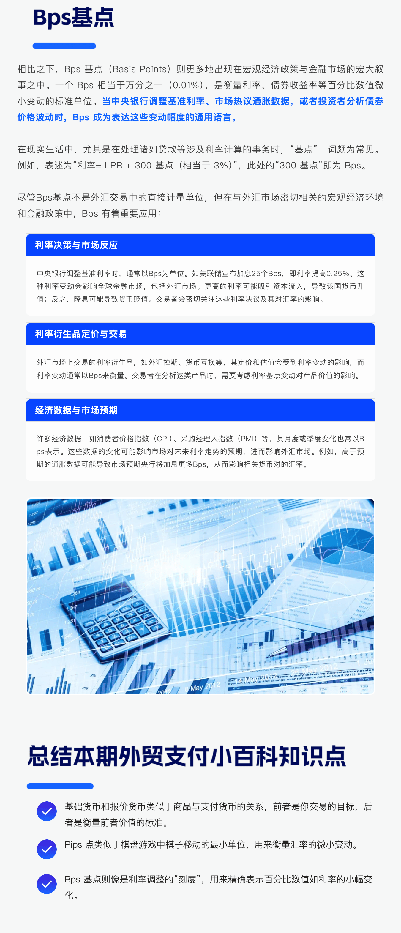 BP最新基點解析，觀點闡述與趨勢分析