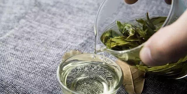 最新泡茶法詳解，一步步指南引領你掌握泡茶技巧