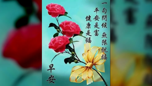 清晨寄語(yǔ)，巷弄深處的獨(dú)特味道，喚醒心靈的力量
