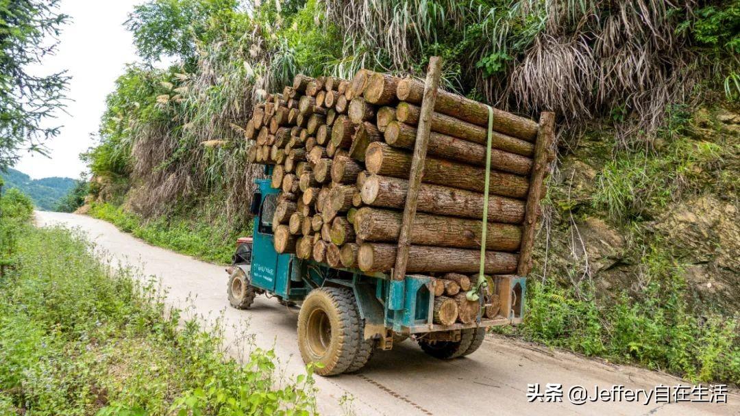 梅子鎮(zhèn)，自然美景的探索之旅，尋找內(nèi)心的平和與喜悅